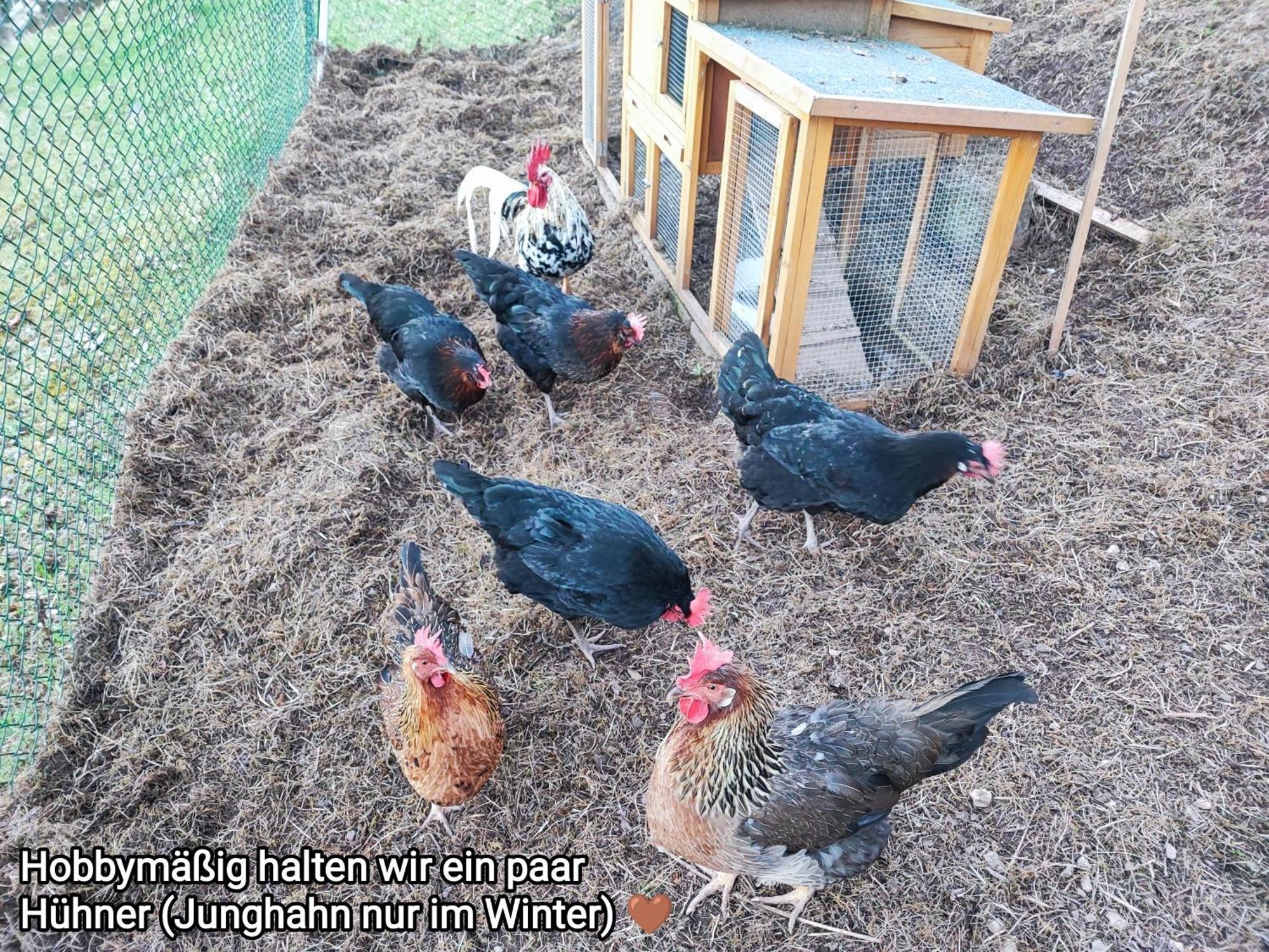 Ferienwohnung Look Wide Oberelsbach Eksteriør bilde